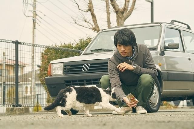 撮影を通して実際にきずなを深めた 福士蒼汰と猫のナナ