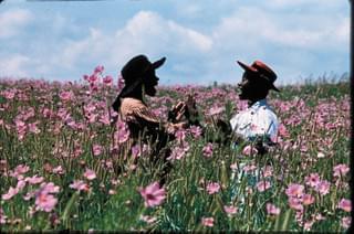 スティーブン・スピルバーグ＆オプラ・ウィンフリーがミュージカル「カラーパープル」を映画化