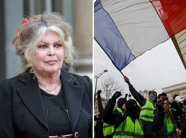 黄色ベストデモ支持を表明したブリジット・バルドー