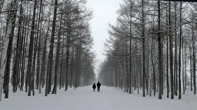 “陸の孤島”で暮らす漫画家カップルを描く