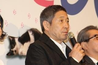 柴咲コウ、休日に猫40匹の楽屋をお掃除 “猫好き”の信頼勝ち取る