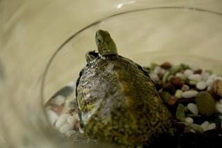 「カメラを止めるな！」クリエイター集結の新作映画が今夏公開！9日間で撮了