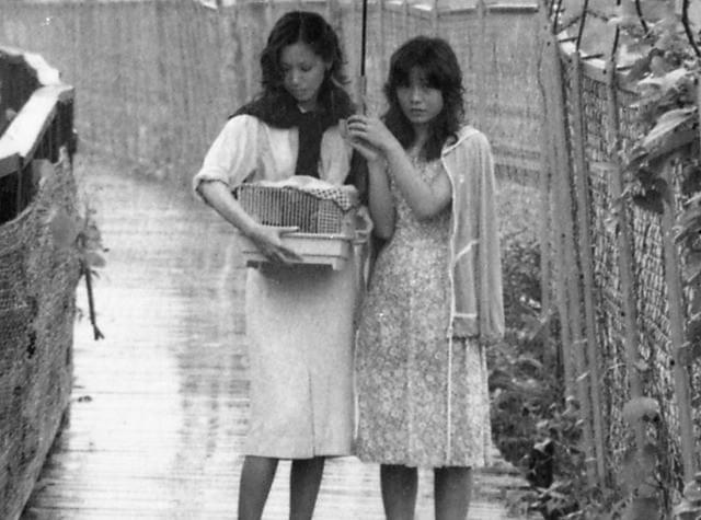 「風たちの午後」