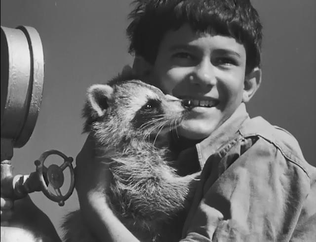 若手映画監督たちが「ルイジアナ物語」「エストラパード街」の魅力を再発見！