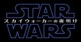 邦題は「スター・ウォーズ スカイウォーカー の夜明け」