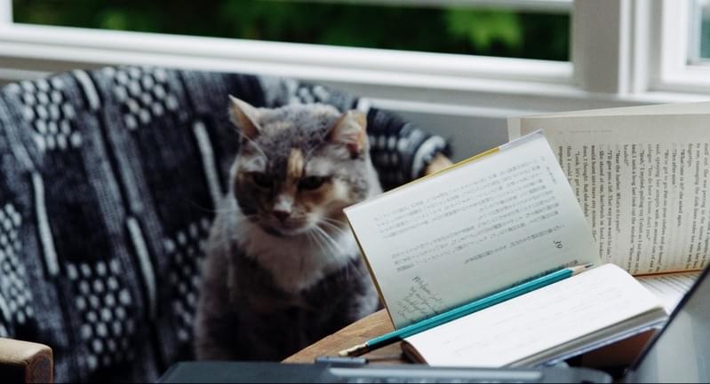 「ドリーミング村上春樹」場面写真公開 デンマーク人翻訳家の仕事風景