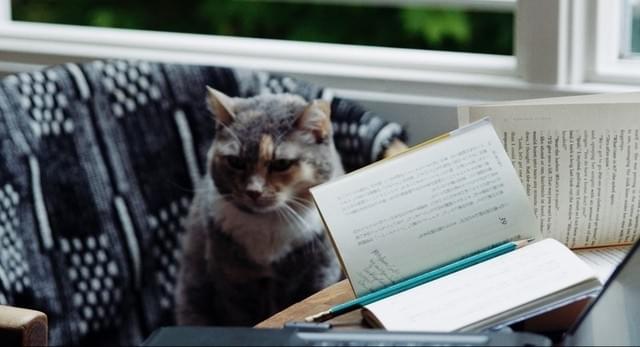 デンマーク人翻訳家の仕事を追う