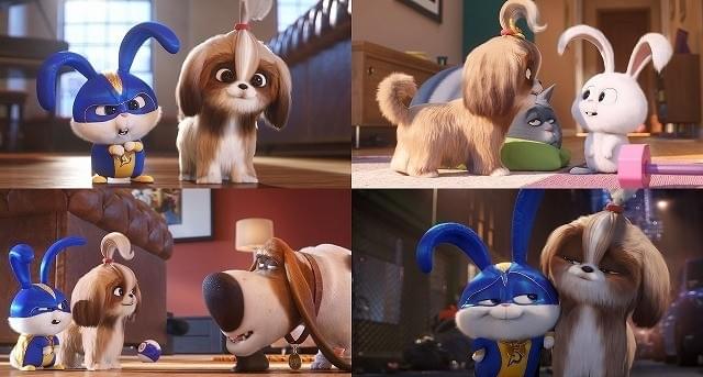 「ペット2」はモフモフ＆サラサラのコンビが活躍！スノーボール＆新キャラの場面写真公開