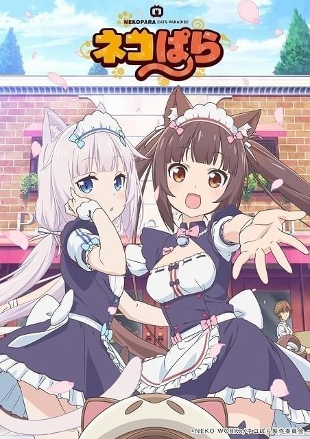 人型のネコたちと暮らすPCゲーム「ネコぱら」TVアニメ化 キャストに八木侑紀、佐伯伊織ら