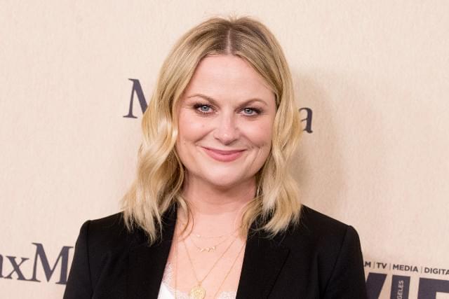 米アマゾン、エイミー・ポーラー＆「ガールズ・トリップ」脚本家の新コメディをシリーズ化