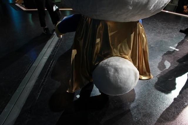 モフモフのお尻がかわいい