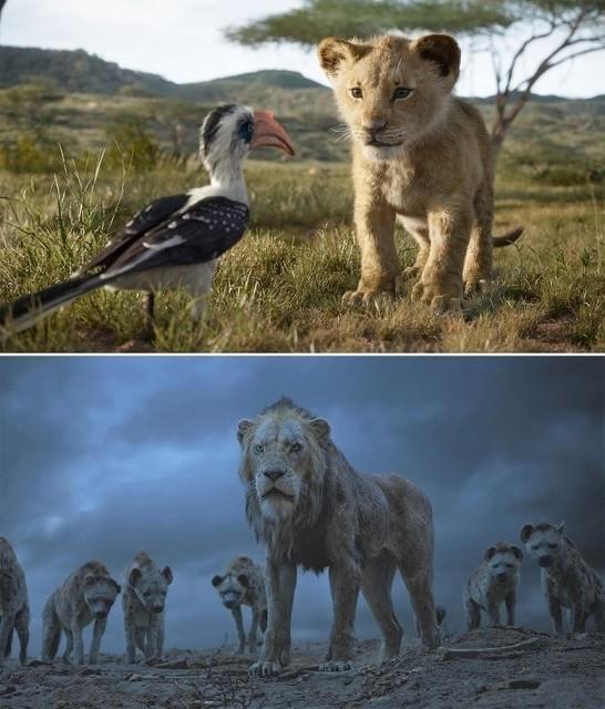 未来の王・シンバ（上）と王の座を狙うスカー（下）