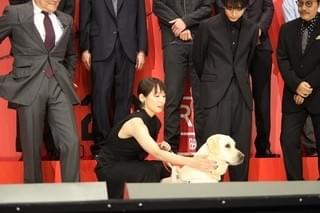 盲目の元警察官役で新境地を開いた吉岡里帆 高杉真宙が嫉妬した盲導犬との再会に大喜び