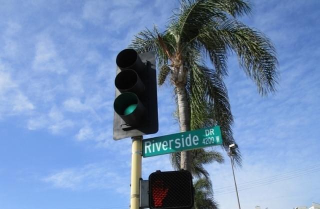 街並みが撮れず、パームツリーでご勘弁を