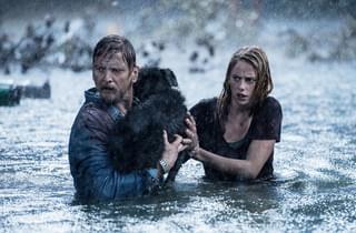 ワニが大量発生した家から脱出を目指す