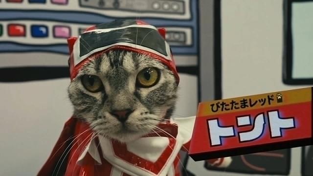「ネコ戦隊びたたま」放送開始