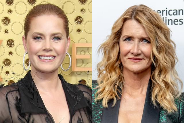 エイミー・アダムス＆ローラ・ダーン