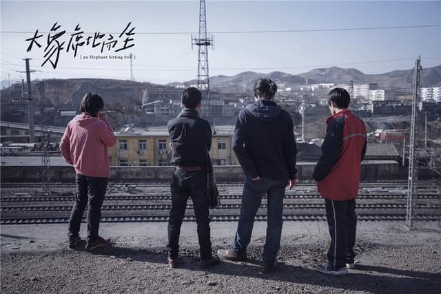 11月2日に日本公開を迎えた「象は静かに座っている」