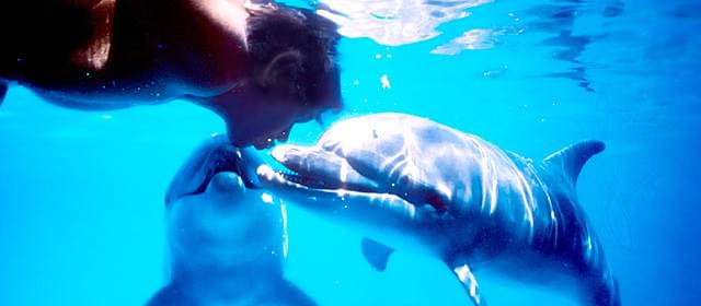 「グラン・ブルー」のモデルになったフランス人ダイバーの人生を描く