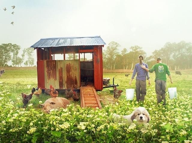 自然と共生する“究極の農場”にトラブル発生！「ビッグ・リトル・ファーム」予告完成