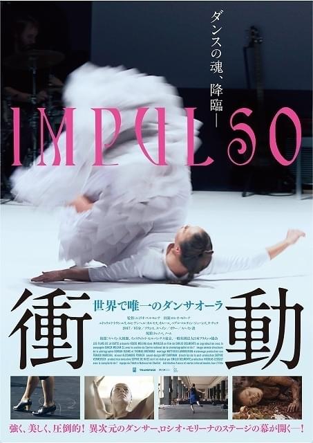 異次元のフラメンコダンサーに迫るドキュメンタリー「衝動」20年3月公開＆予告完成