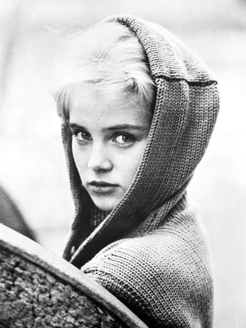 死去したスー・リオンさん