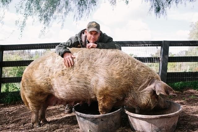 ジョン・チェスター監督