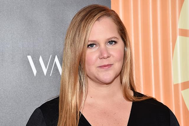 エイミー・シューマー制作総指揮 教会に背いた修道女たち描く「Mercy House」ドラマ化