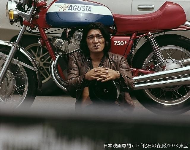 「化石の森（1973）」