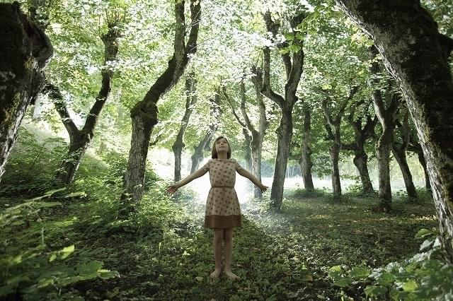 ラトビアを舞台にした日本未公開作品「ビッレ」