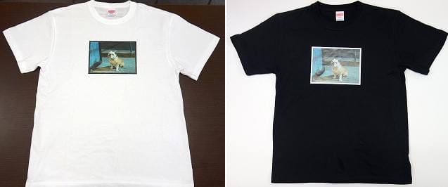 ジム・ジャームッシュ「パターソン」チャリティTシャツ発売