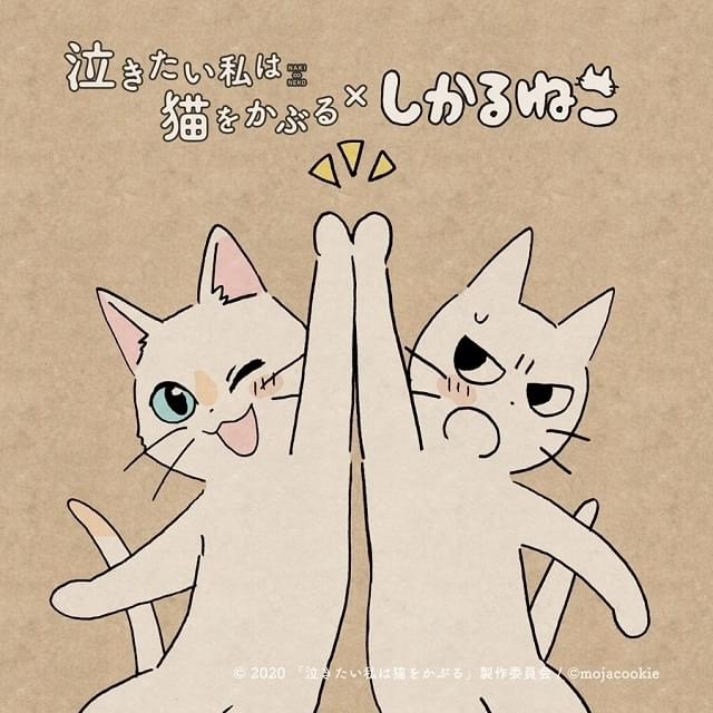 「しかるねこ」がNetflixアニメ「泣き猫」応援隊長に コラボイラスト公開