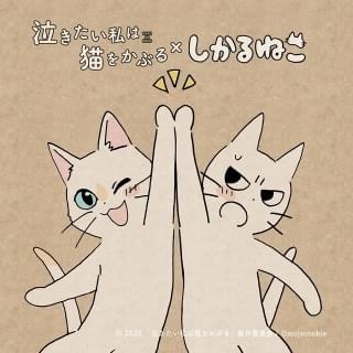 「しかるねこ」がNetflixアニメ「泣き猫」応援隊長に コラボイラスト公開