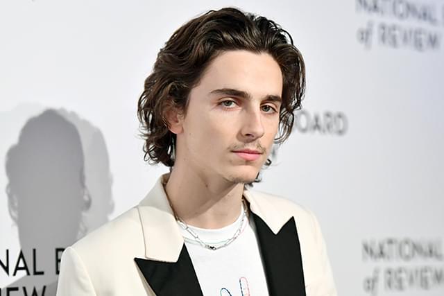 【今日もイケメン、明日もイケメン】「ティモシー・シャラメ」美少年から美青年へ…！ 世界を魅了するおしゃれ貴公子