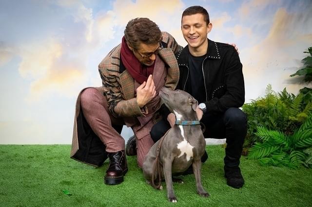 トムホ、“犬役”は「思ったより上手くできた」 アフレコ風景収めた「ドクター・ドリトル」特別映像