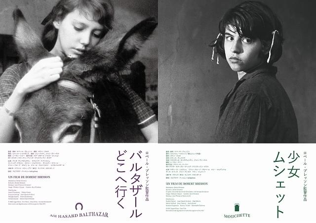 ロベール・ブレッソンの傑作「バルタザールどこへ行く」「少女ムシェット」10月30日公開決定