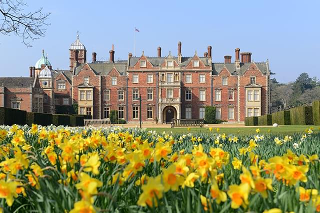 特別な映画体験に