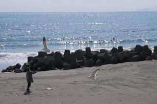 佐藤泰志原作「草の響き」映画化! 斎藤久志監督×菅原和博プロデュースで函館ロケ敢行