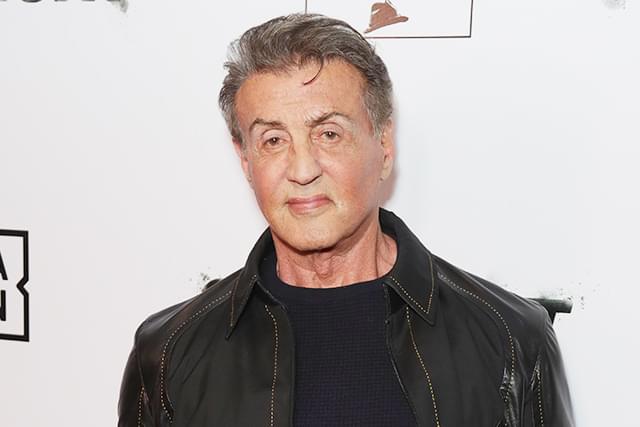 「スーサイド・スクワッド」にシルベスター・スタローン ジェームズ・ガン監督が明かす