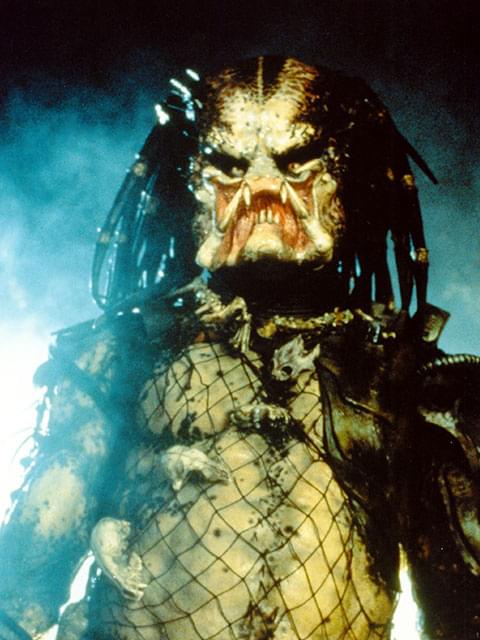 シリーズの再始動を計画中!