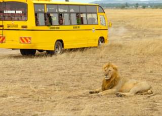 まるでリアル「イッテQ！」 知られざるケニアの修学旅行収めた「GOGO」本編映像