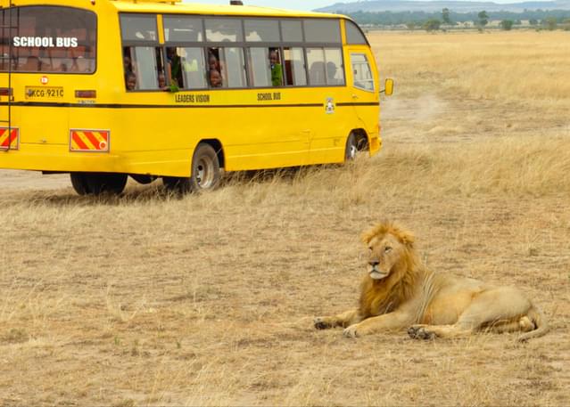 ライオンに遭遇した貴重なシーン