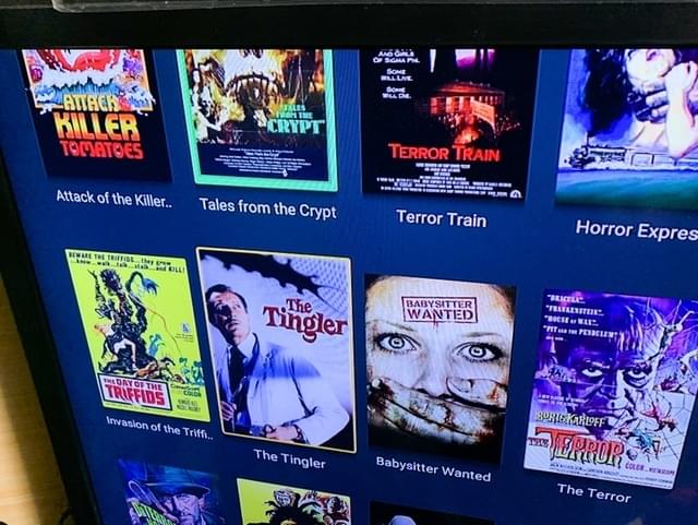 PLEXの検索結果画面(The Tingler)