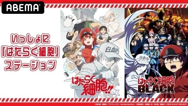 1月17日午後10時から配信