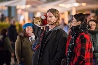 “奇跡の猫”ボブがサンタコスチュームでハイタッチ！「ボブという名の猫」続編、邦題決定＆特報完成