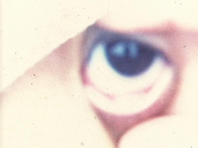 「ぞうが死んだ」