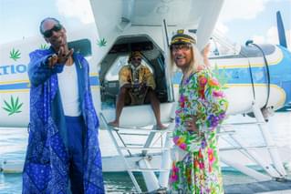 ハーモニー・コリン×マシュー・マコノヒー「ビーチ・バム」予告 浅田彰氏「真の自由人の姿を描く美しい映画」