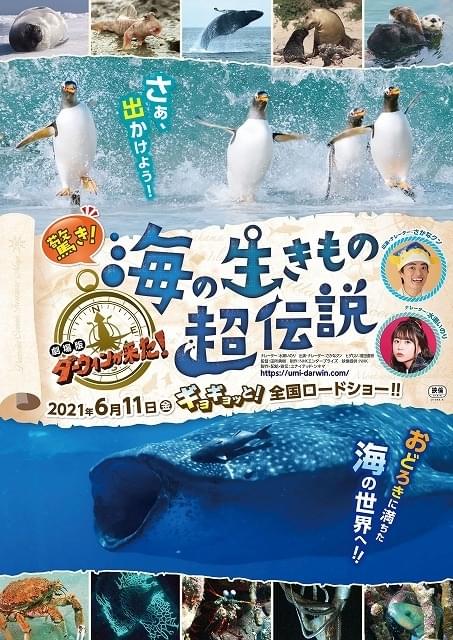 「ダーウィンが来た！」劇場版第3弾の舞台は海の世界！ 水瀬いのり＆さかなクンが参加、6月11日公開