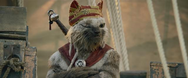 猫のような人気キャラ