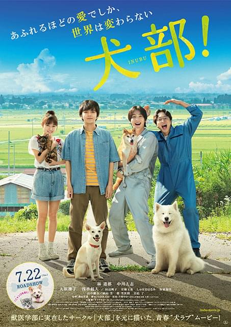 林遣都×中川大志「犬部！」予告編が完成！ 「Novelbright」の書き下ろし主題歌も初披露